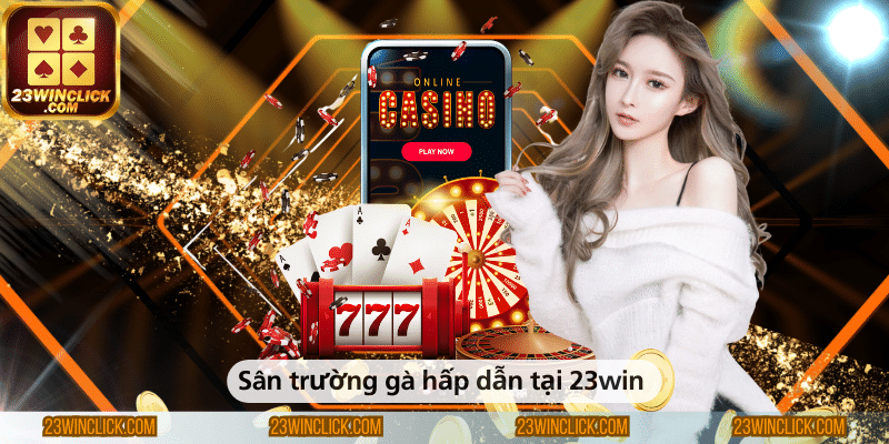 Sân trường gà hấp dẫn tại 23win 
